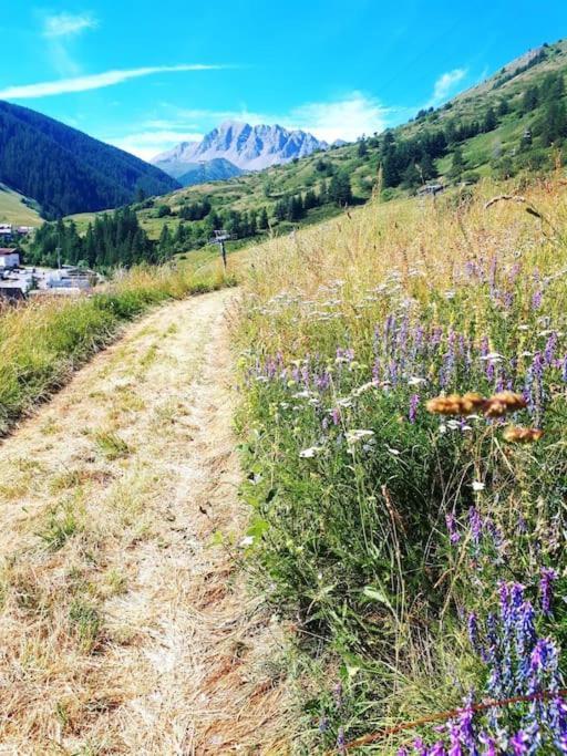 T2/3 6Pers & Pied Des Pistes & Piscine Chauffee Apartment Vars  Luaran gambar